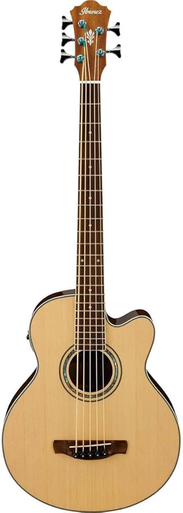 Ibanezアコースティックベース AEB10E